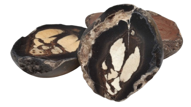 Septarian crystal - Grounding & Patience