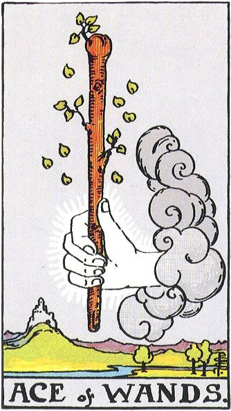 Ace of Wands
